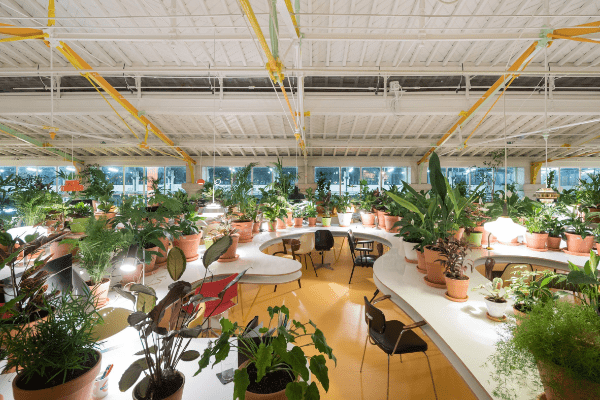 Types of coworking spaces
